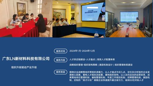 廣州組織發展咨詢領域的2026年使命升級 技術權威品牌再定義與行動展望